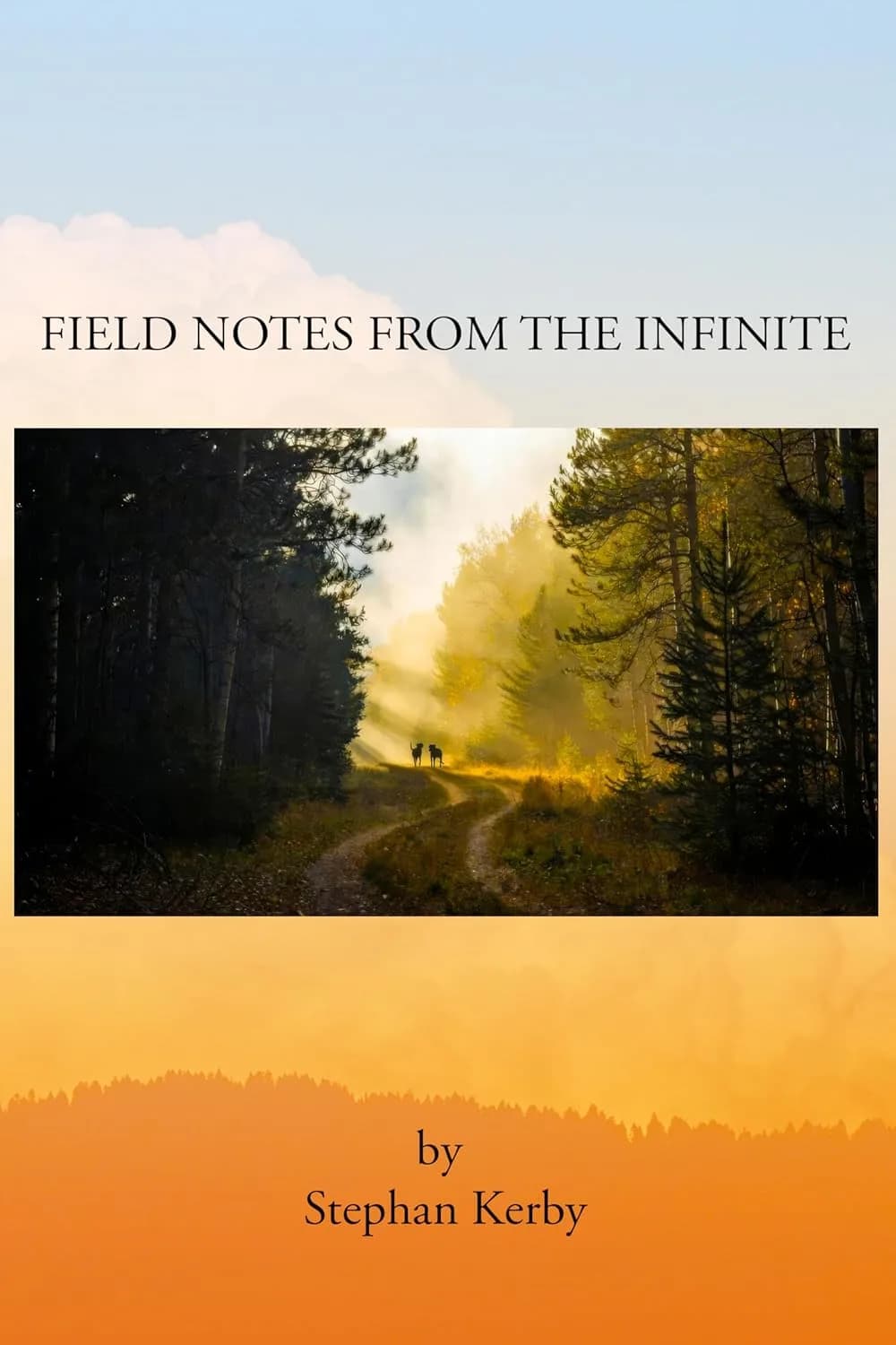 Field Notes from the Infinite