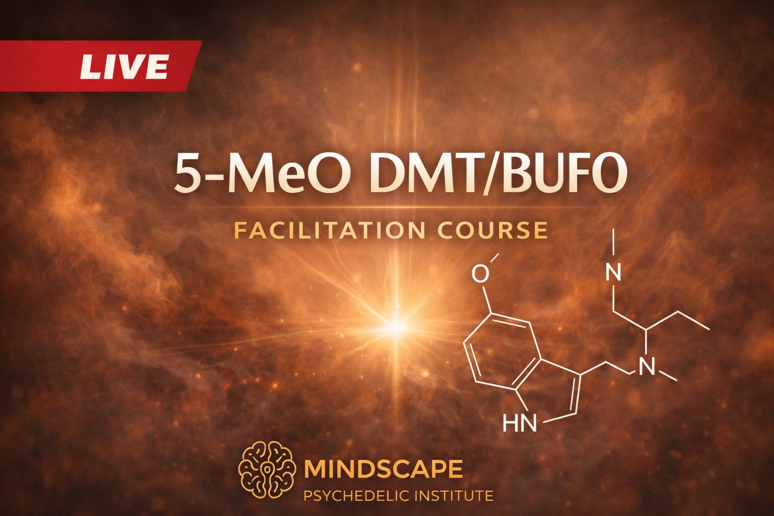 Certified 5-MeO-DMT / Bufo Facilitator Training