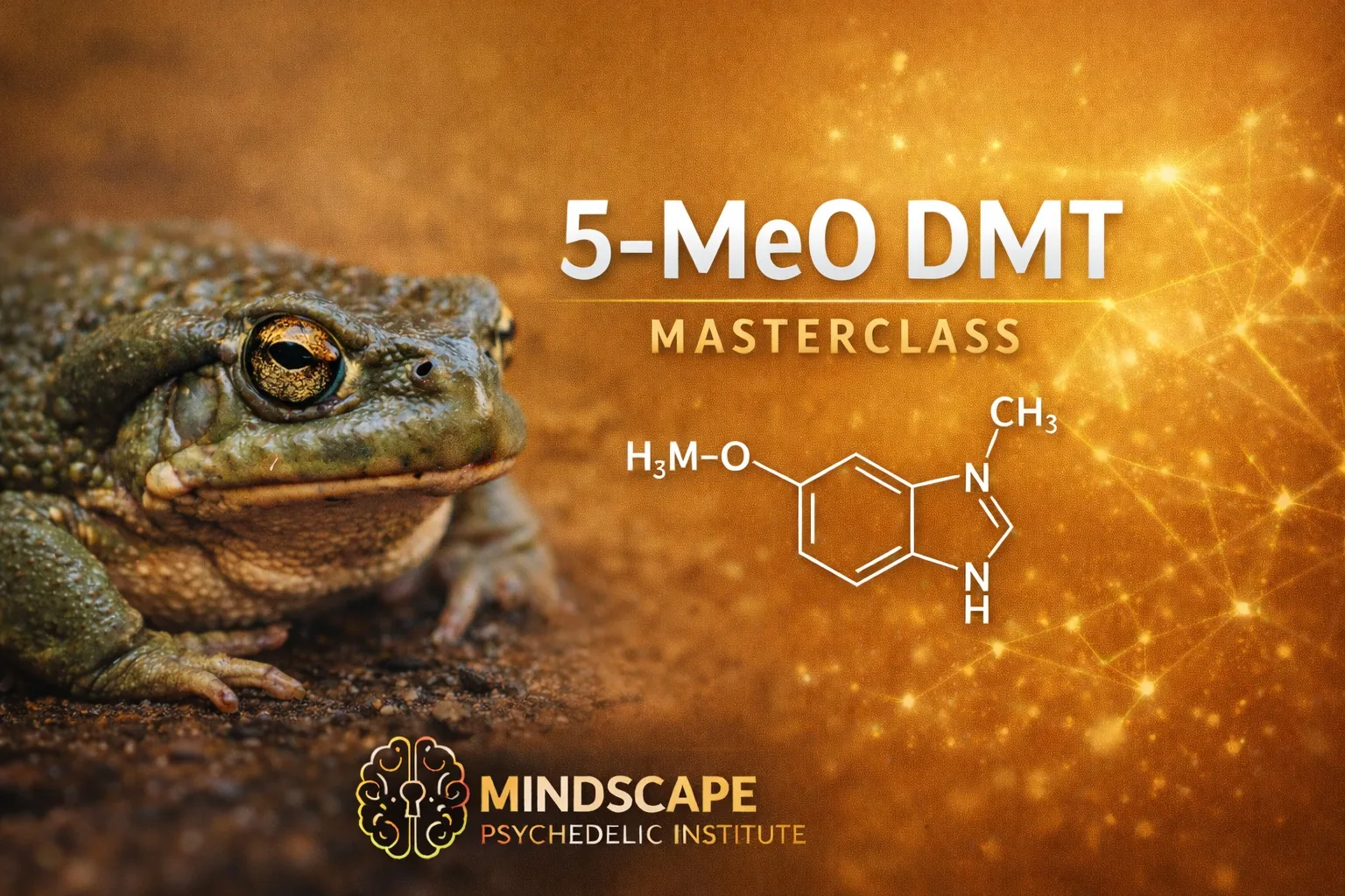 5-MeO-DMT / Bufo Masterclass